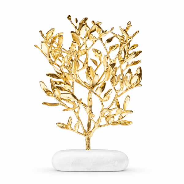 Δέντρο σχίνος Επίχρυσο 